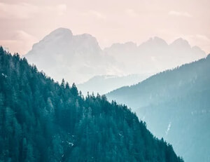 https://www.qyufza.xyz/zb_users/theme/Dillon/style/random/19.jpg